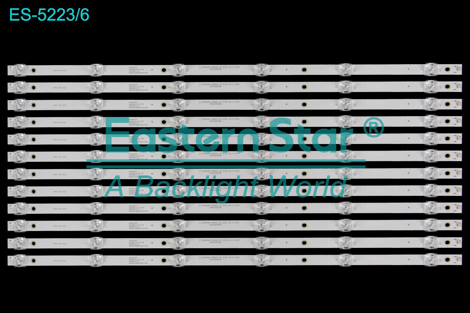 ES-5223, KJ65D06-ZC66AG-03 2025-02-10 6S1P C65/D20/36 240-260/3.0-3.2V 2W 20250208-V1.0 65D2003V2W6C1B61014M