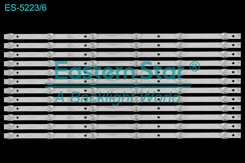 ES-5223, KJ65D06-ZC66AG-03 2025-02-10 6S1P C65/D20/36 240-260/3.0-3.2V 2W 20250208-V1.0 65D2003V2W6C1B61014M
